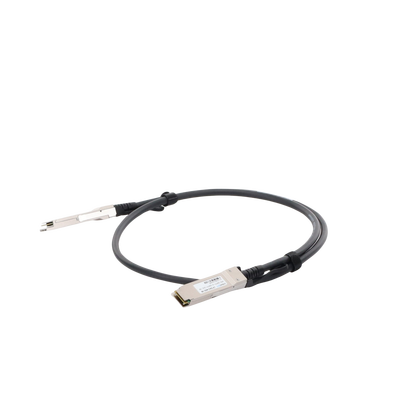 LP-DAC-40G-1M - 2