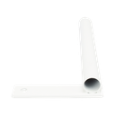 BRNP1 - 3