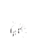 NCLH - 2