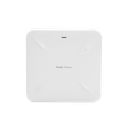 RG-RAP2200(E) - 4