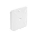 RG-RAP2200(E) - 7