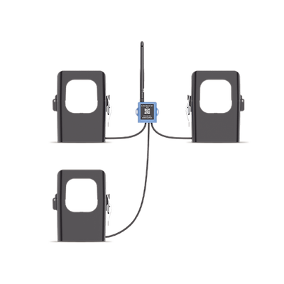 CT305915M - 3