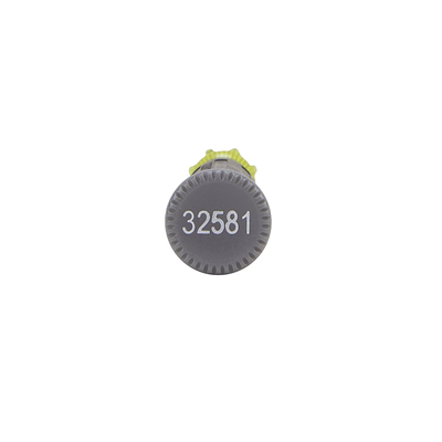 32581 - 2