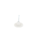 TC-4X6 - 1