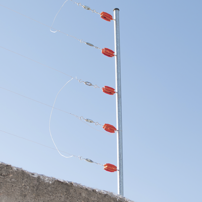 SFESQUINEROR - 3