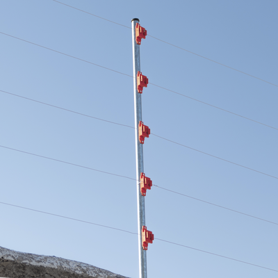 SFPASOR - 3