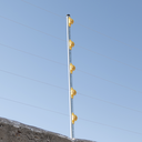 SFPASOY - 3