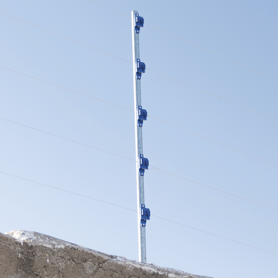 SFPASOB - 3