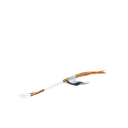 101513763 - 2