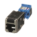 CJS6X88TGY - 5