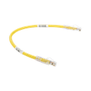 UTPSP1YLY - 2
