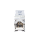 Z6A-SP - 5
