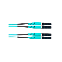 FZ2ERLNLNSNF010 - 2