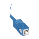 F91BN3NNNSNM001 - 2