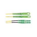 F92ERANB1SNM002 - 2