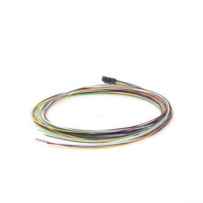 LPFO610012C - 2