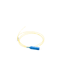 FP1B-SCUL-01 - 2