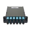 FCSZO-12-03P - 2