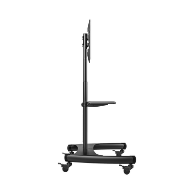 AVA1500601PNB - 5