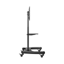AVA1500601PNB - 5