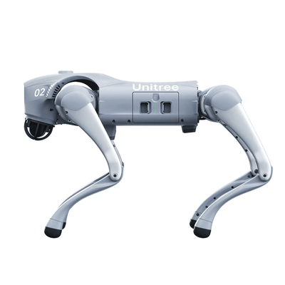 GO2PRO - 2
