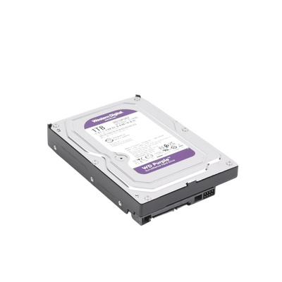 WD10PURZ - 4