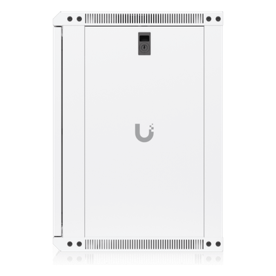 UACC-RACK-12U-WALL-450-G - 2