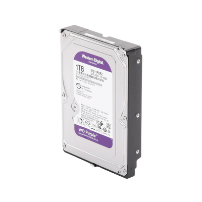 WD11PURZ - 2