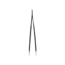 EPTP6 - 3