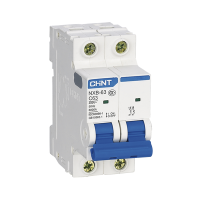 Pastilla para Riel Din, 2 Polo, 63 Amp, Vca:110/415v, 6kA, Catálogo: NXB632PC63, Serie: NXB-63. | NXB632PC63