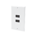 Placa de Pared de 2 Puertos HDMI Hembra a Hembra | LP-FP-091
